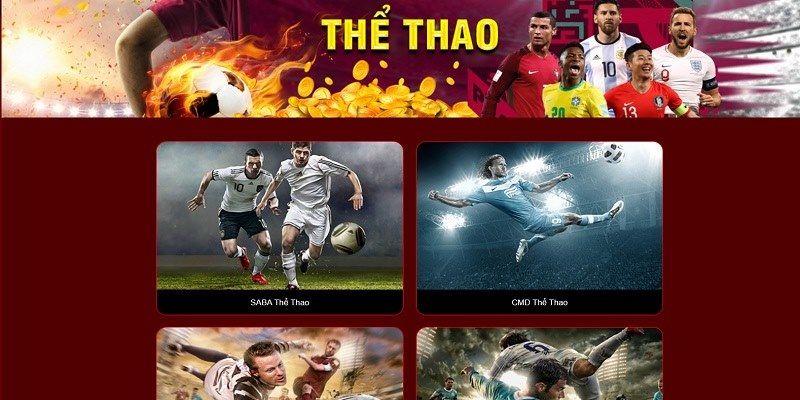 Thể thao 33WIN hợp tác với nhiều đối tác nổi tiếng